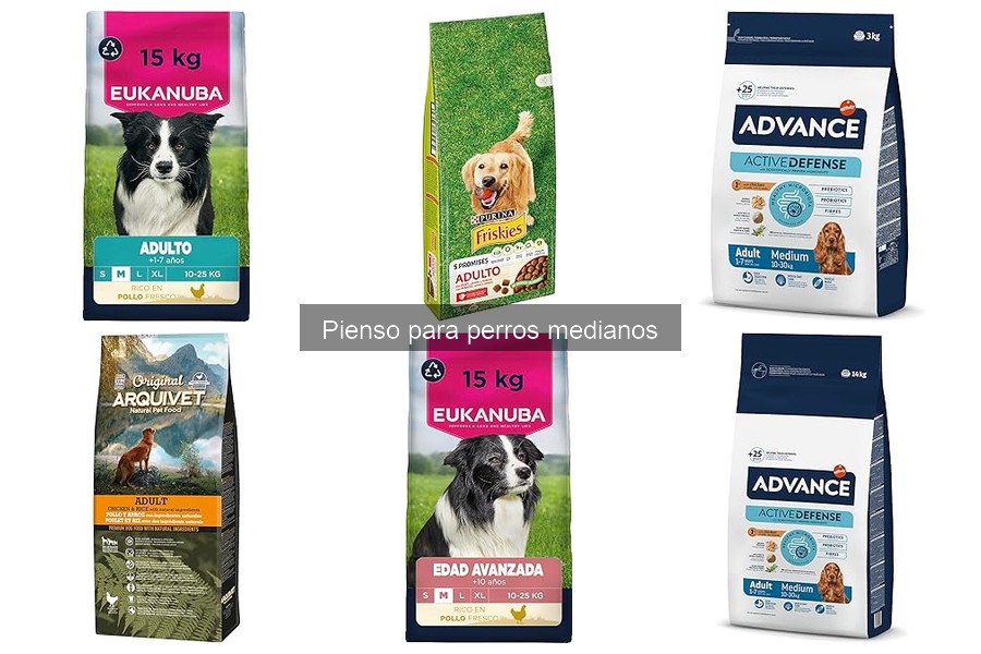 Cómo Elegir el Mejor Pienso para Perros Medianos