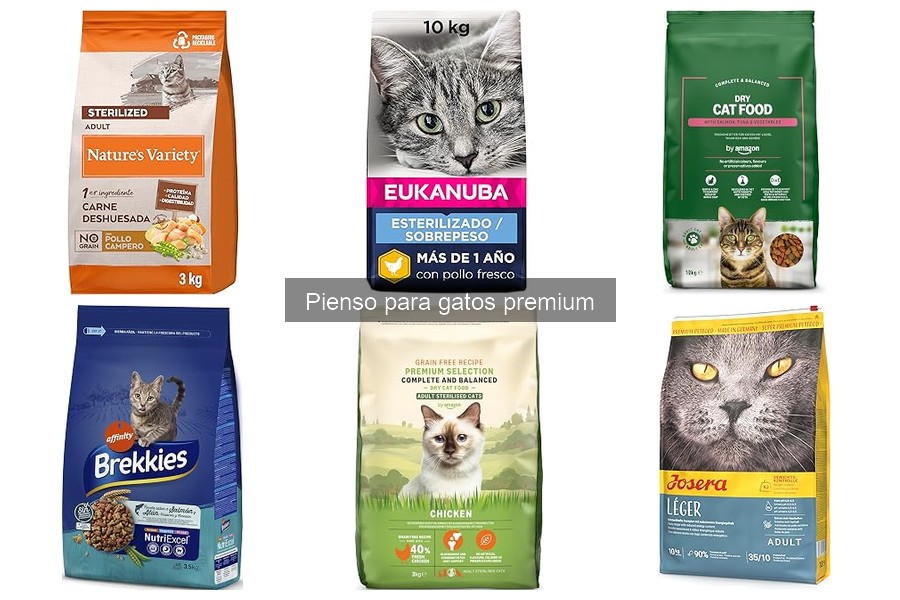 ¿Cómo elegir el mejor pienso premium para tu gato?
