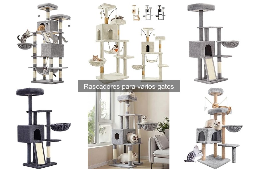 Cómo elegir el mejor rascador para varios gatos