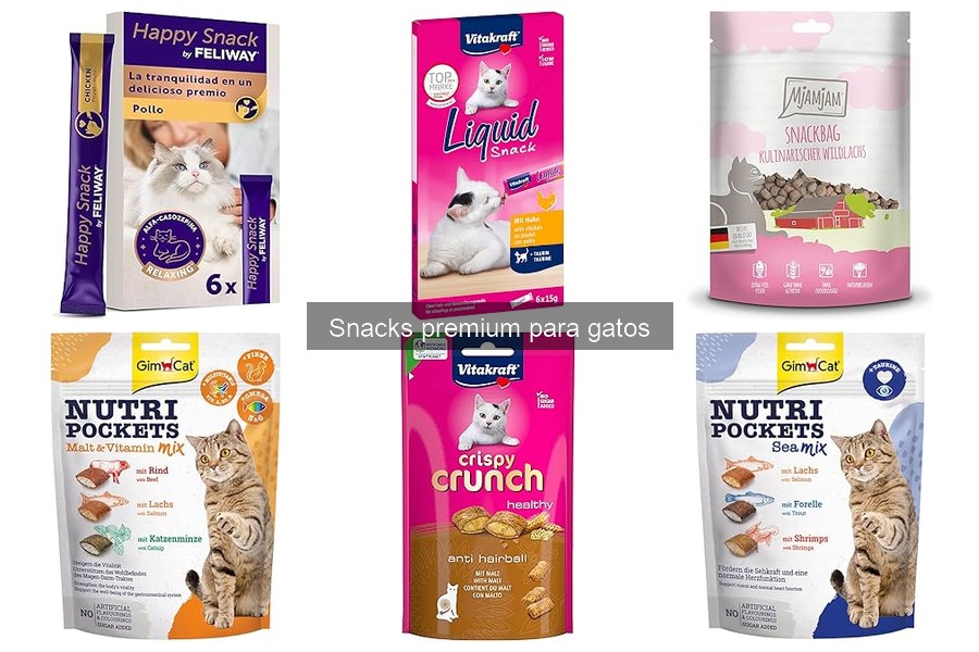 Cómo elegir el mejor snack premium para gatos