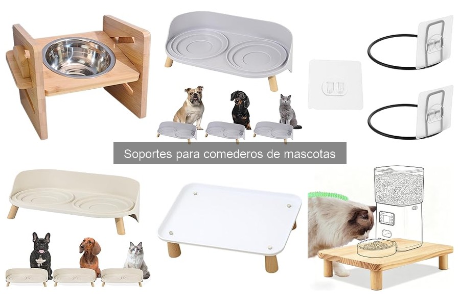 Cómo elegir el mejor soporte para comederos de mascotas