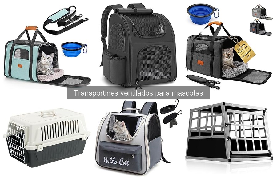 Cómo elegir el mejor transportín ventilado para mascotas