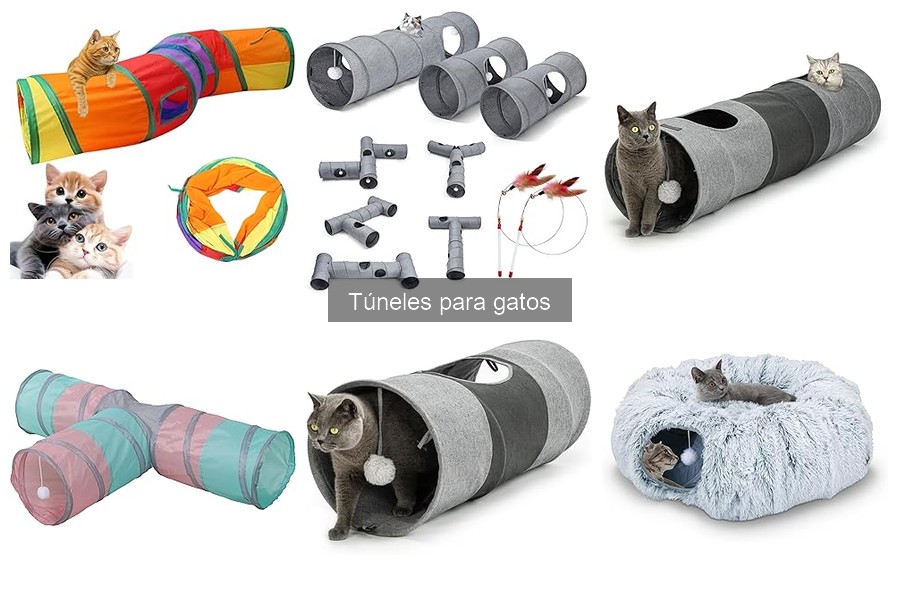 Cómo Elegir el Mejor Túnel para Gatos: Guía Práctica