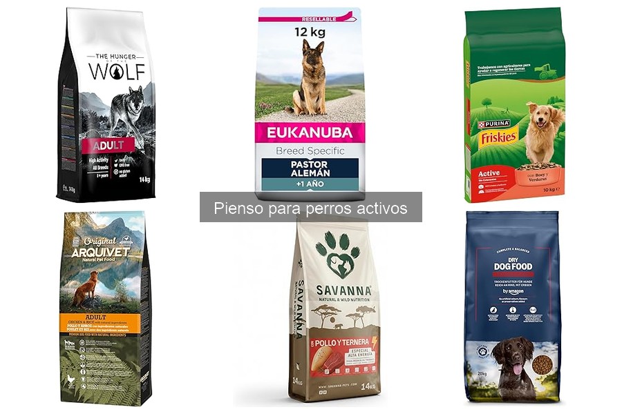 Cómo elegir el pienso ideal para perros activos