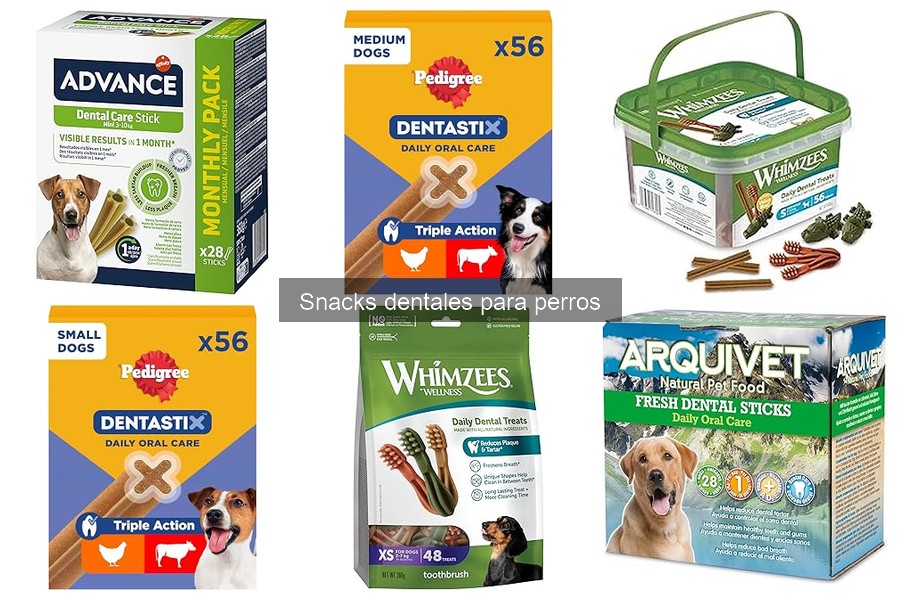 Cómo elegir el snack dental adecuado para tu perro