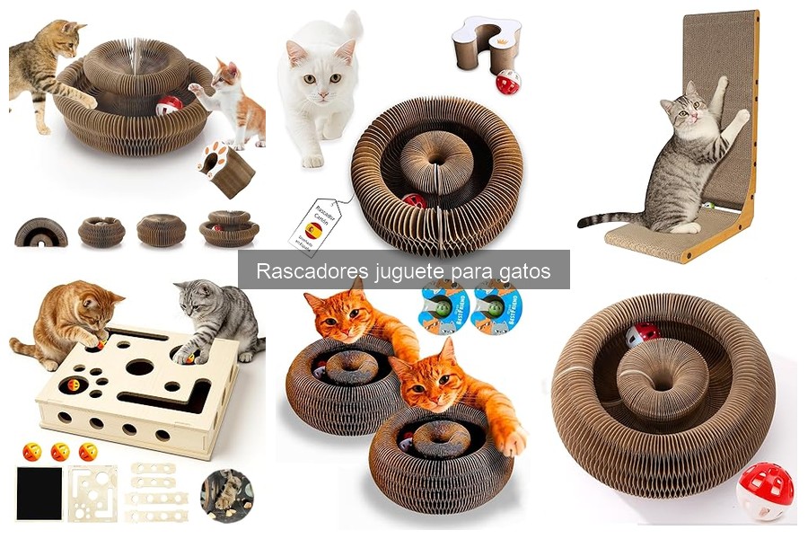 Cómo elegir el tamaño ideal de rascador para gatos