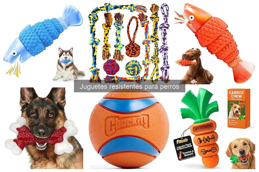 Cómo Elegir Juguetes Resistentes para Perros - Guía Práctica