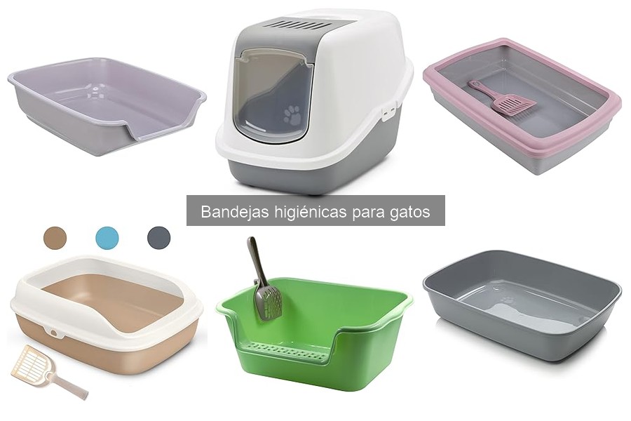 Cómo elegir la bandeja higiénica perfecta para tu gato