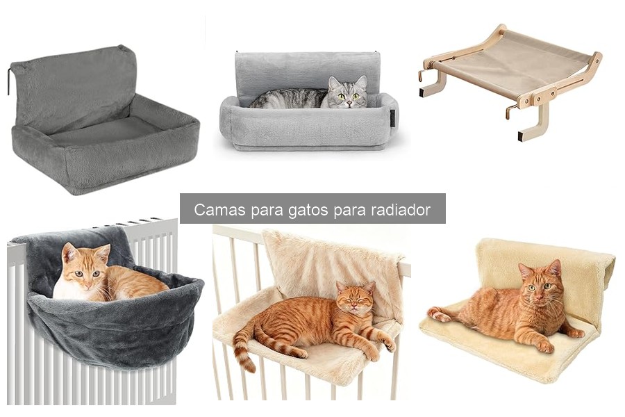 Cómo elegir la cama ideal para tu gato según su tamaño