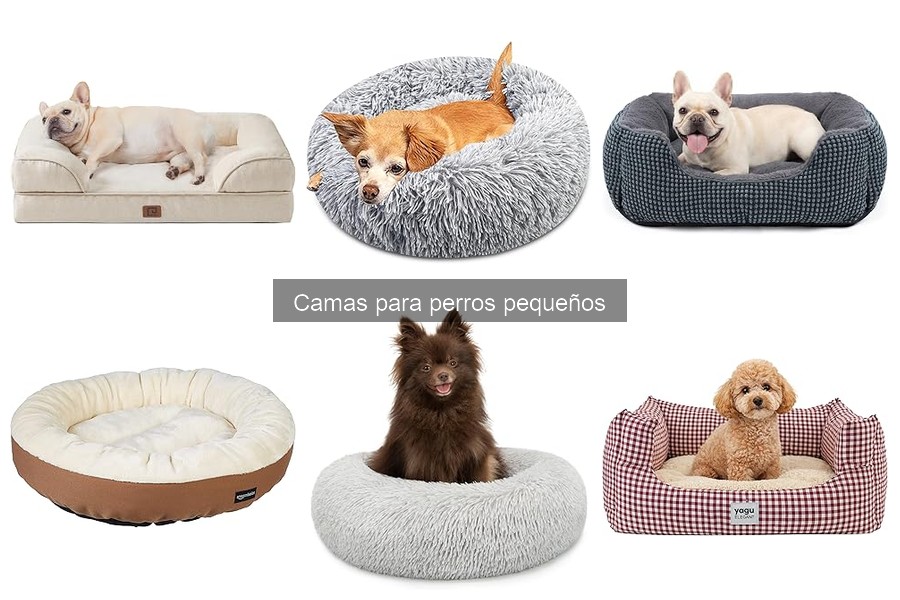 Cómo elegir la cama perfecta para tu perro pequeño