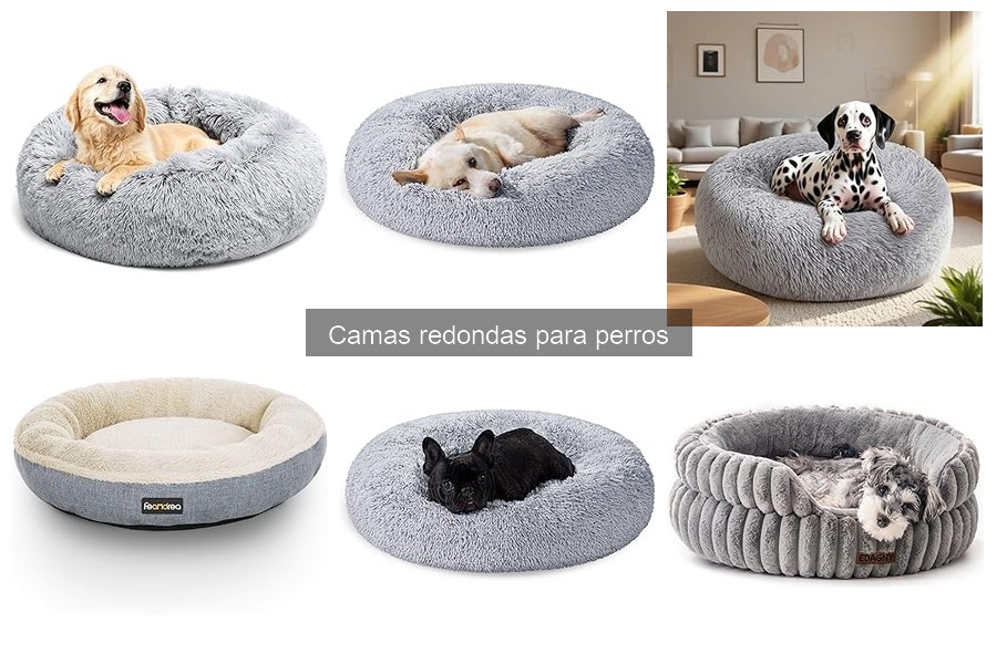 Cómo elegir la cama redonda ideal para tu perro