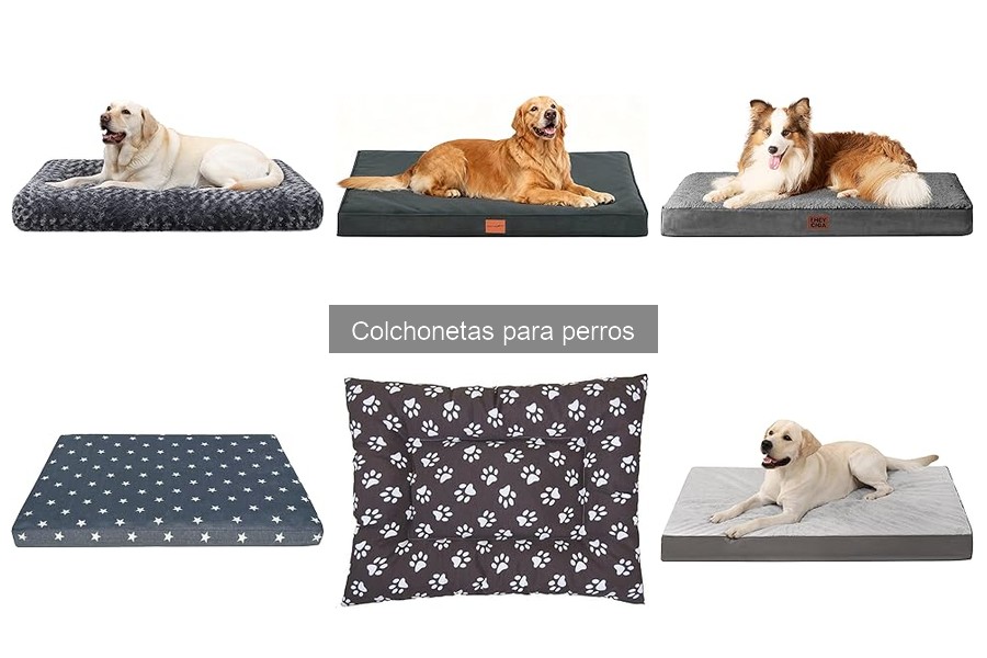 Cómo elegir la colchoneta ideal para perros según su tamaño