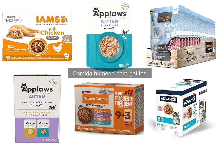 Cómo elegir la comida húmeda ideal para tu gatito
