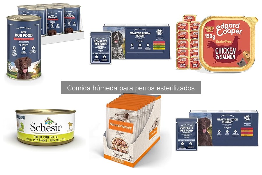 Cómo elegir la comida húmeda para perros esterilizados