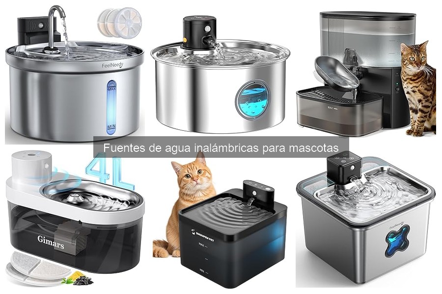 Cómo elegir la fuente de agua inalámbrica para tu perro