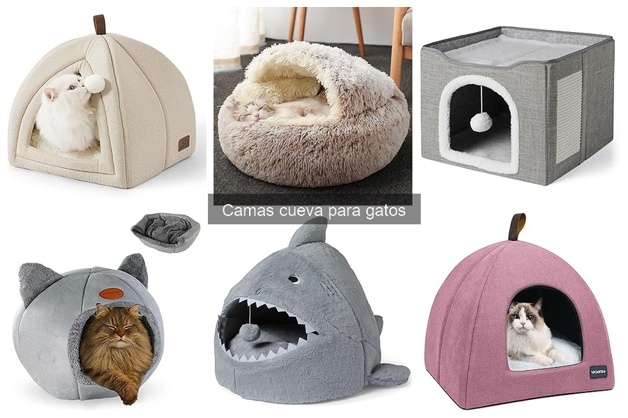 Cómo elegir la mejor cama cueva para tu gato
