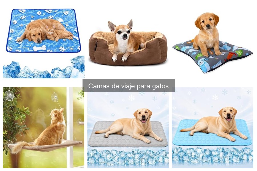 Cómo elegir la mejor cama de viaje para gatos