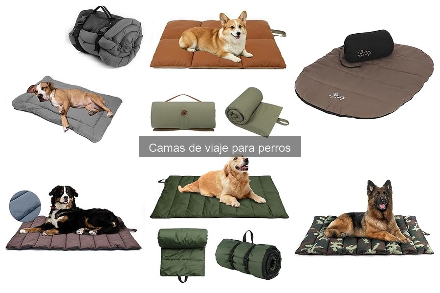 Cómo Elegir la Mejor Cama de Viaje para tu Perro