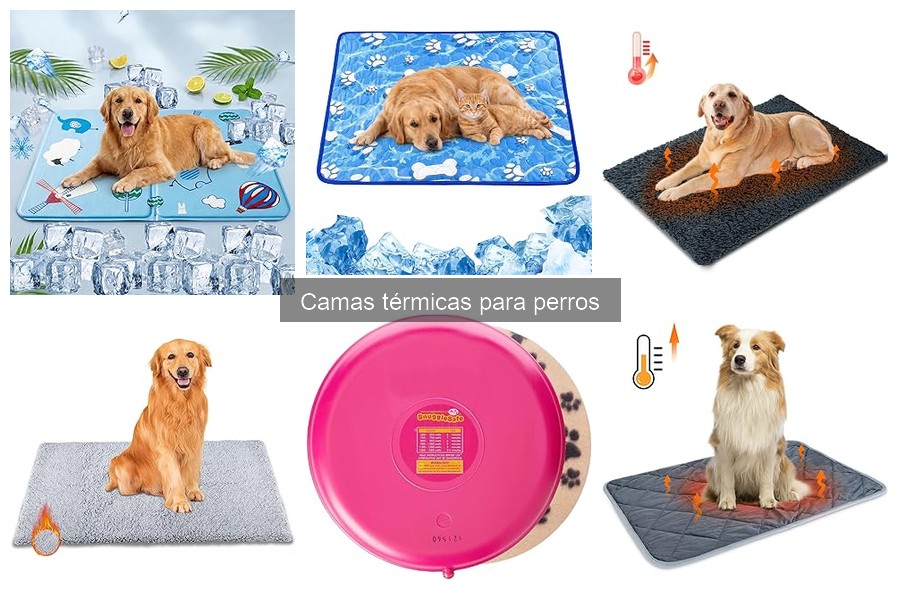 Cómo elegir la mejor cama térmica para perros