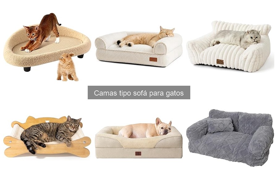 Cómo elegir la mejor cama tipo sofá para tu gato