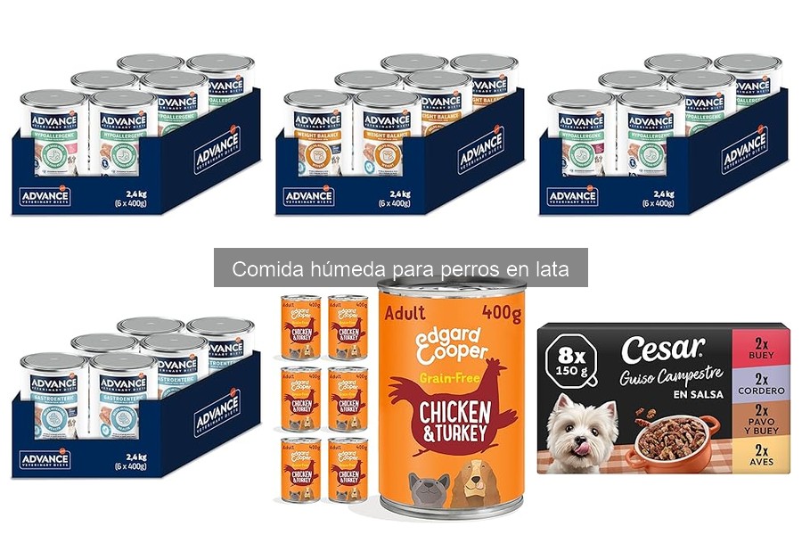 Cómo elegir la mejor comida húmeda en lata para perros