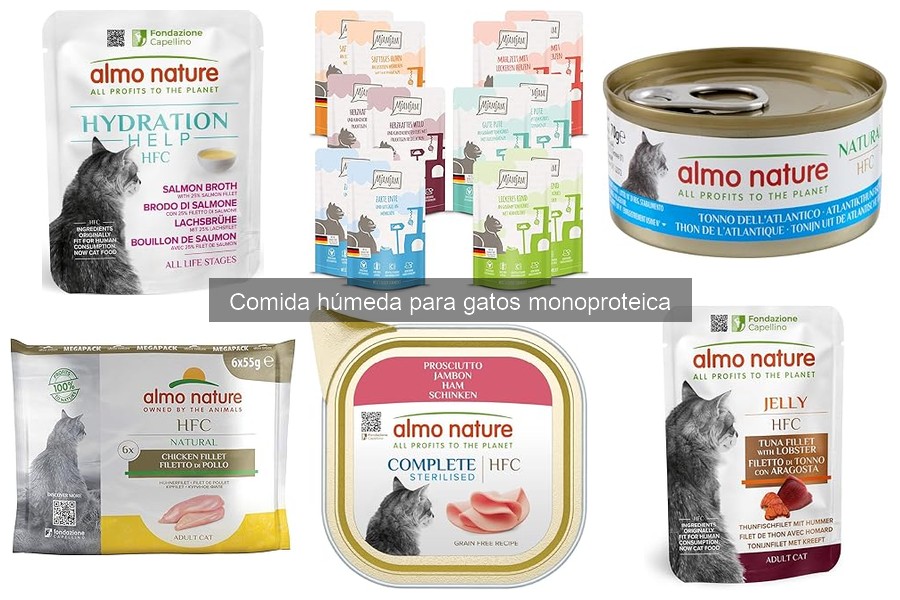 Cómo elegir la mejor comida húmeda monoproteica para gatos
