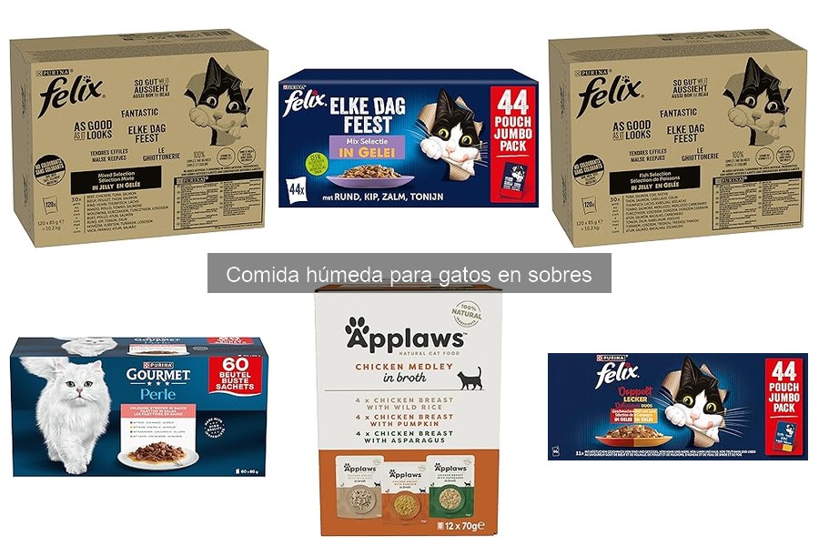 Cómo Elegir la Mejor Comida Húmeda para Gatos en Sobres