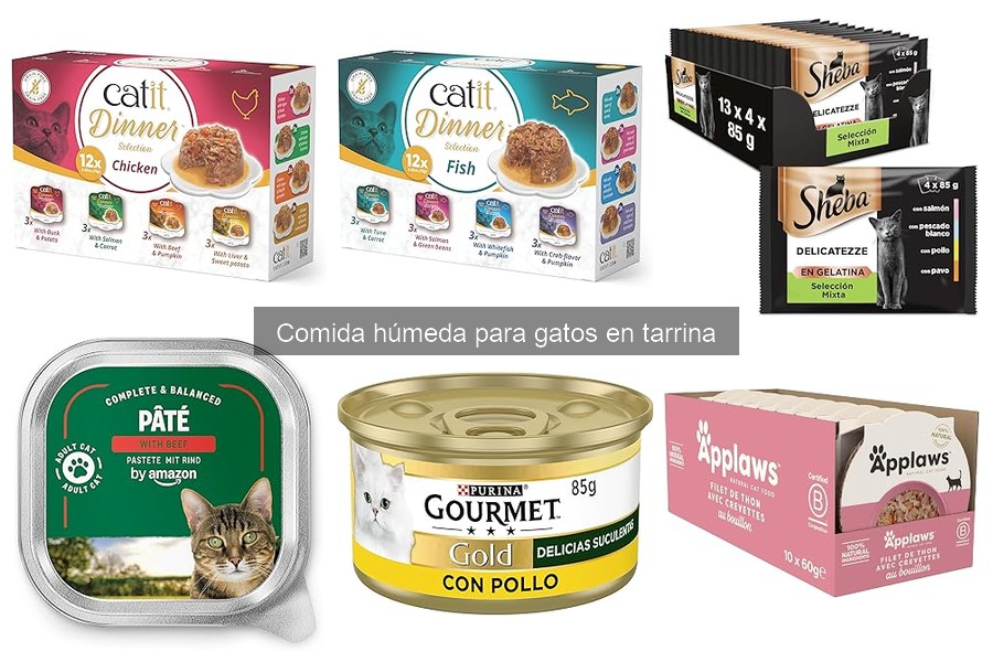 Cómo elegir la mejor comida húmeda para gatos en tarrina