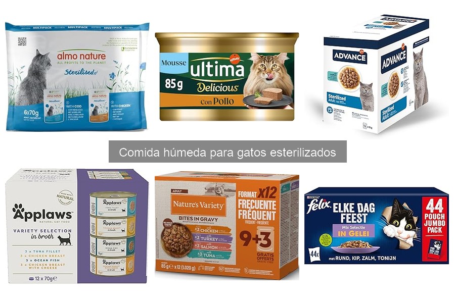 Cómo elegir la mejor comida húmeda para gatos esterilizados