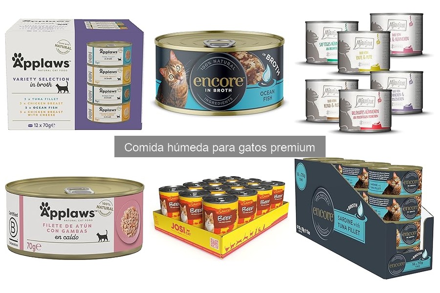 Cómo Elegir la Mejor Comida Húmeda para Gatos Premium