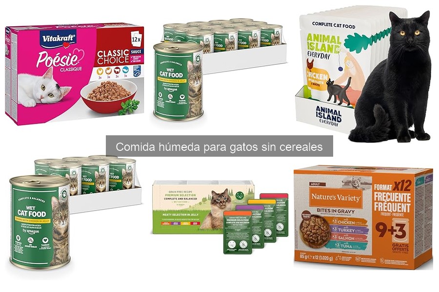 Cómo elegir la mejor comida húmeda para gatos sin cereales