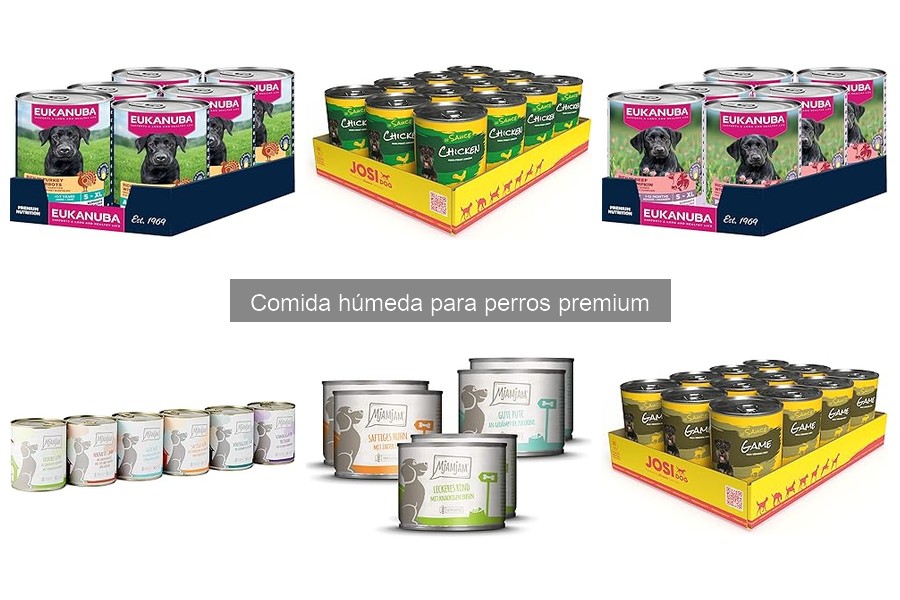 Cómo elegir la mejor comida húmeda para perros premium