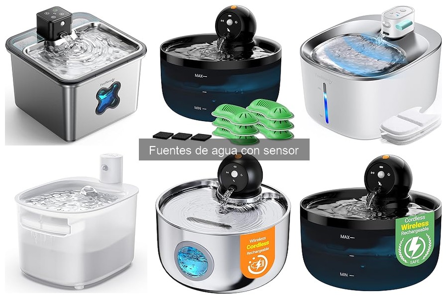 Cómo elegir la mejor fuente de agua con sensor para tu gato