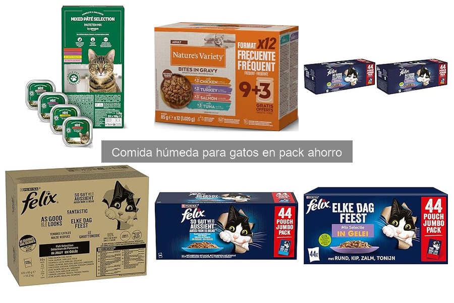 Cómo elegir packs ahorro de comida húmeda para gatos