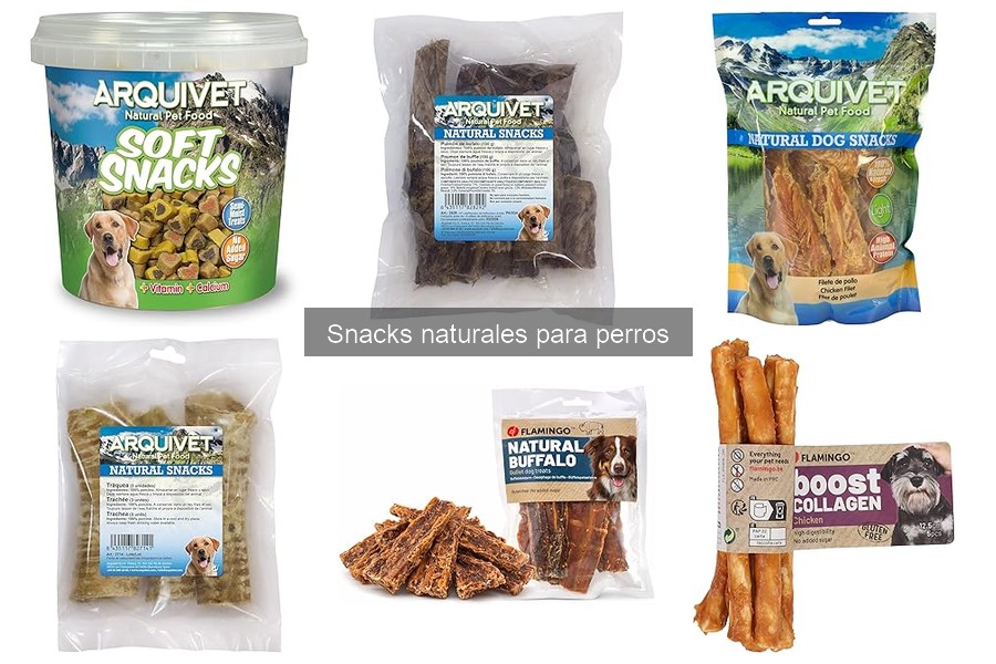 Cómo elegir snacks naturales para perros según su edad