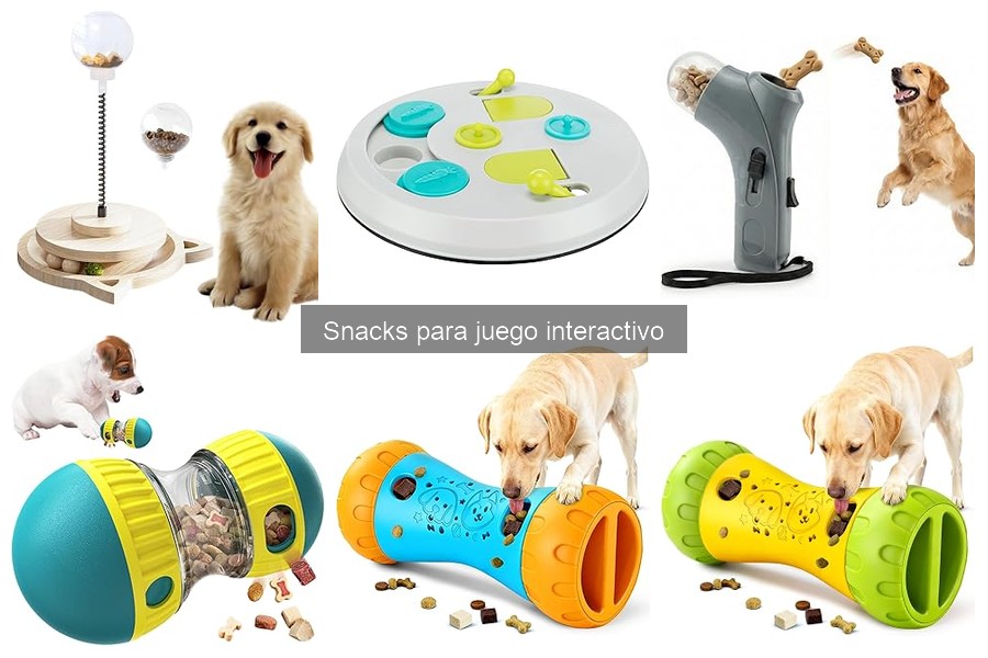 Cómo elegir snacks para juegos interactivos para mascotas