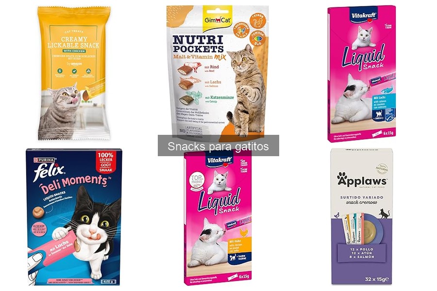 Cómo elegir snacks saludables para gatitos: Guía esencial
