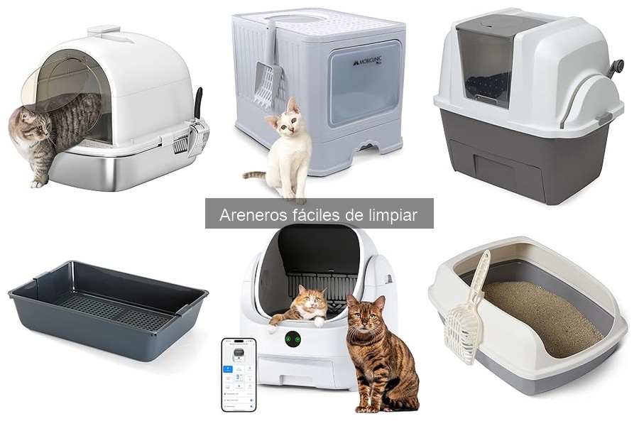 Cómo elegir un arenero fácil de limpiar para tu gato