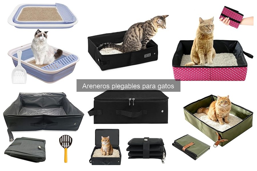Cómo elegir un arenero plegable para gatos adecuado