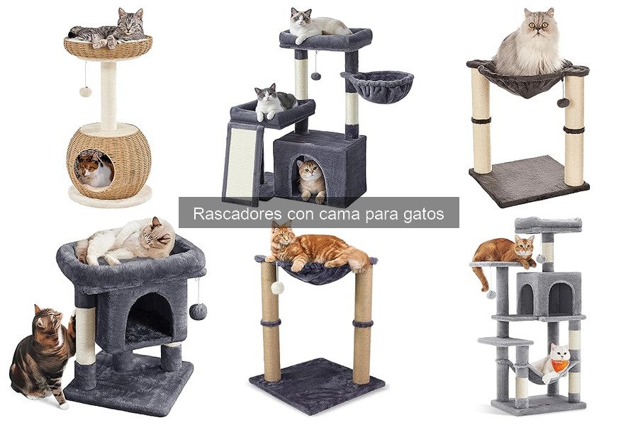 Cómo Elegir un Rascador con Cama para Gatos - Guía Essentials