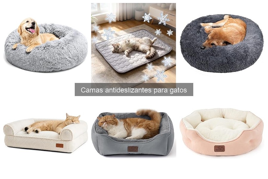 Cómo elegir una cama antideslizante para gatos: guía de compra