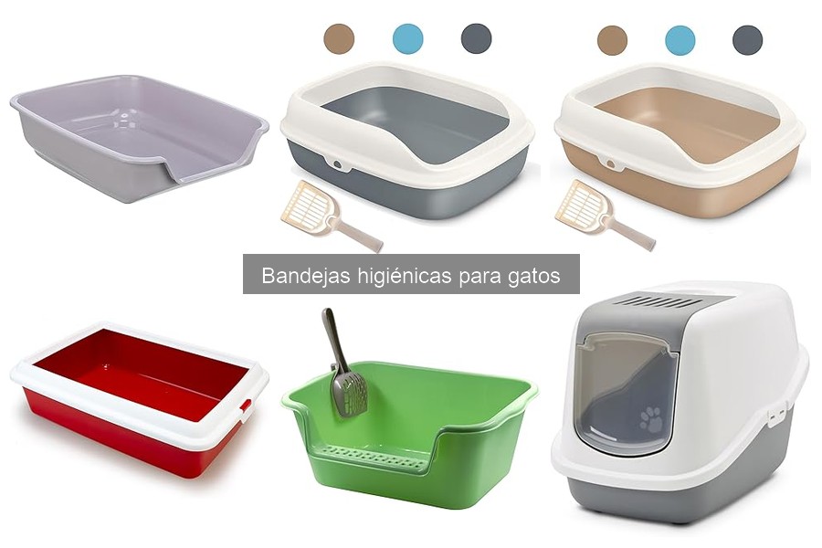 Cómo enseñar a tu gato a usar la bandeja higiénica fácilmente