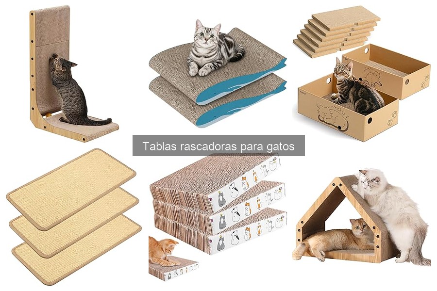 Cómo enseñar a tu gato a usar la tabla rascadora