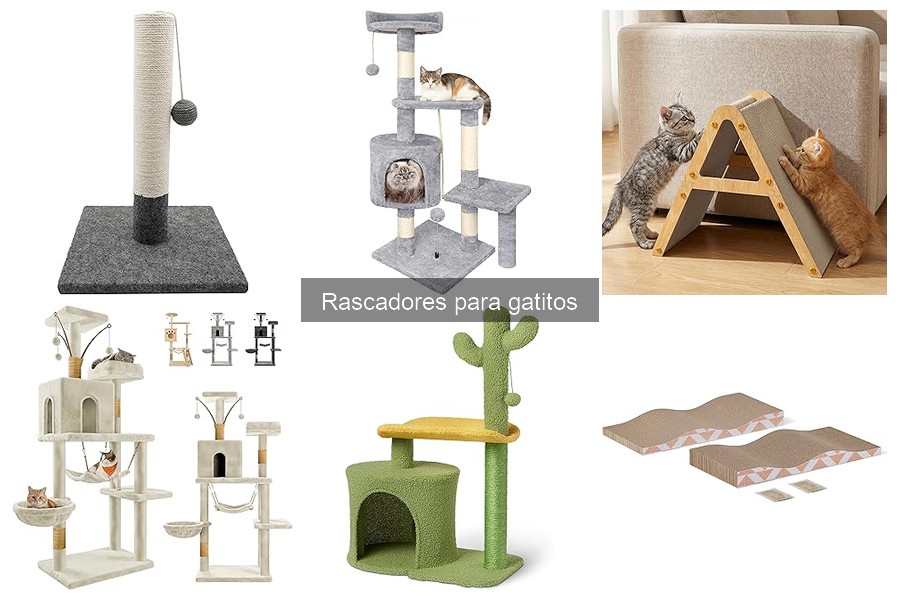 Cómo entrenar a tu gato a usar el rascador correctamente