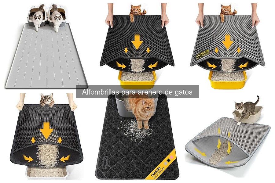 Cómo entrenar a tu gato a usar una alfombrilla para arenero