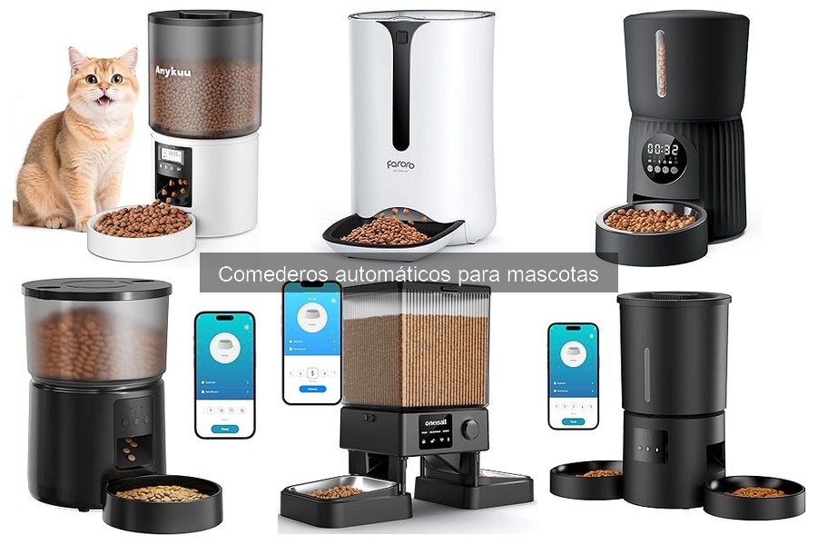 Cómo entrenar a tu mascota para usar un comedero automático
