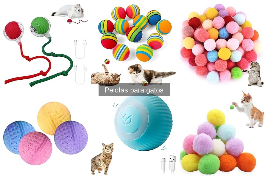 Cómo fomentar el juego con pelotas para gatos: consejos prácticos