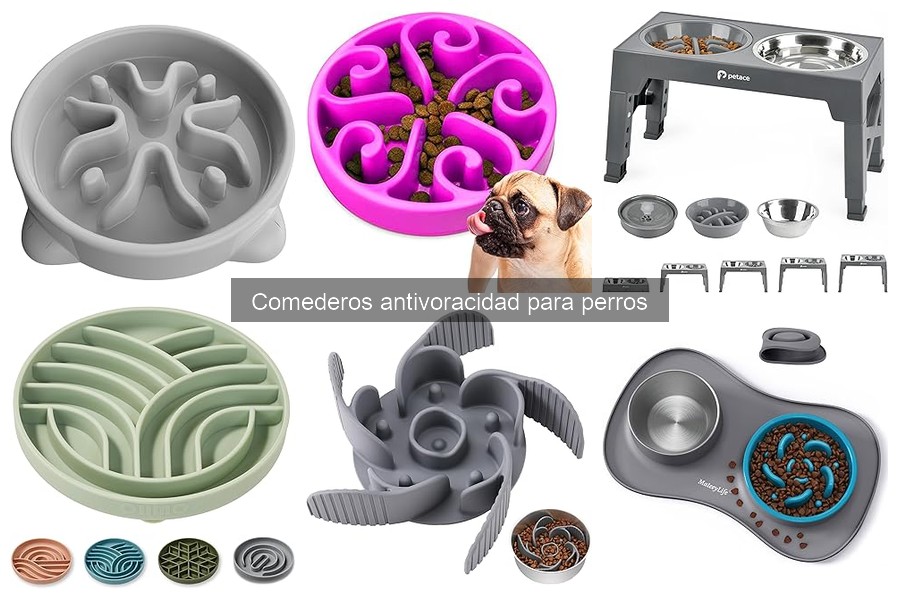 ¿Cómo funciona un comedero antivoracidad para perros?