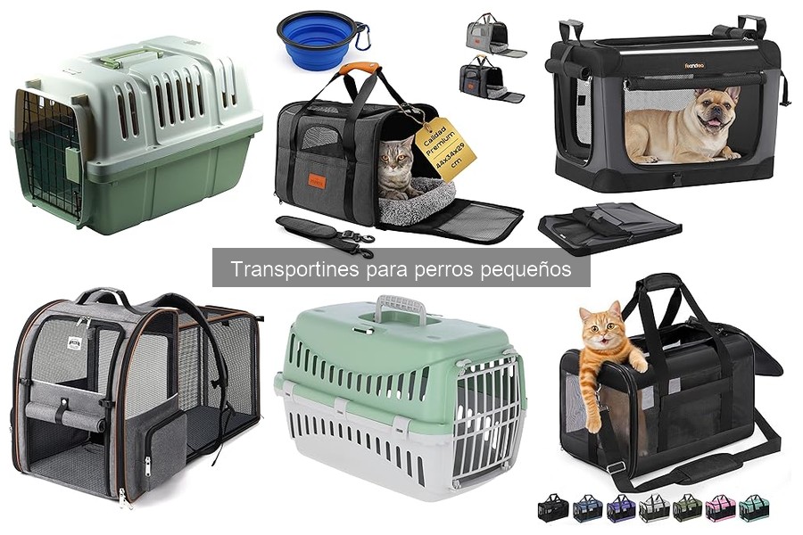 Cómo Hacer Que Tu Perro se Sienta Cómodo en un Transportín