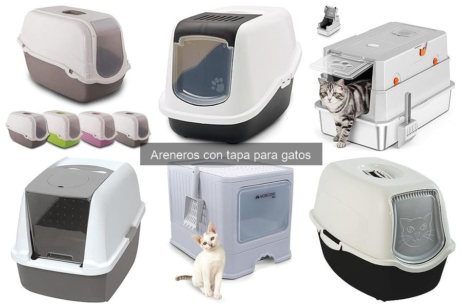 Cómo instalar un arenero con tapa para gatos fácilmente